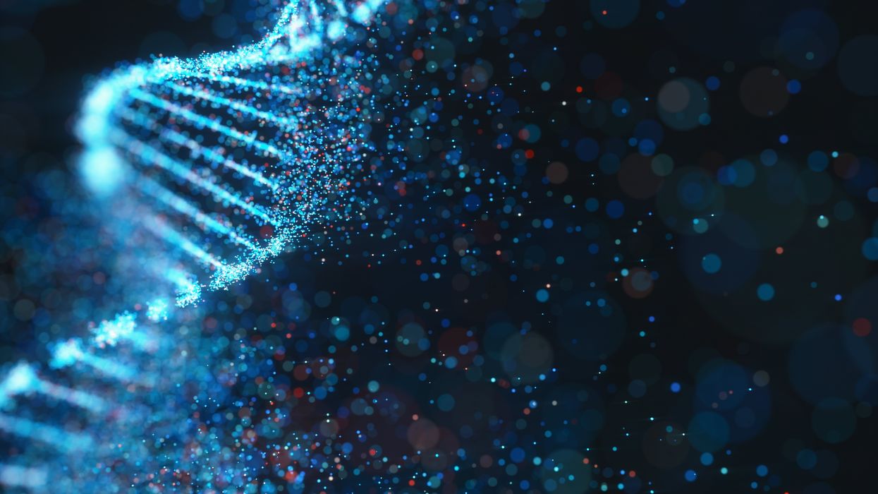 Gene Transfer Leads to Longer Life and Healthspan